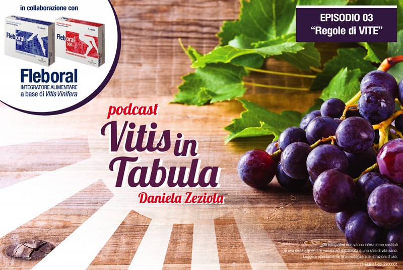 Regole di VITE di Carlo Magno